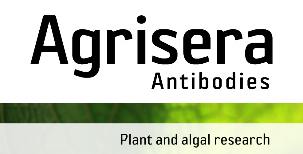 Agrisera MicroRNA相關(guān)研究植物蛋白抗體火熱促銷中！